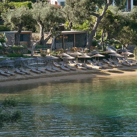 Grecotel Eva Palace (adults Only)